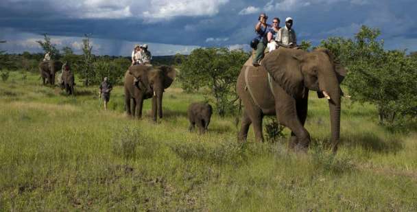 Safari in Jim Corbett National Park