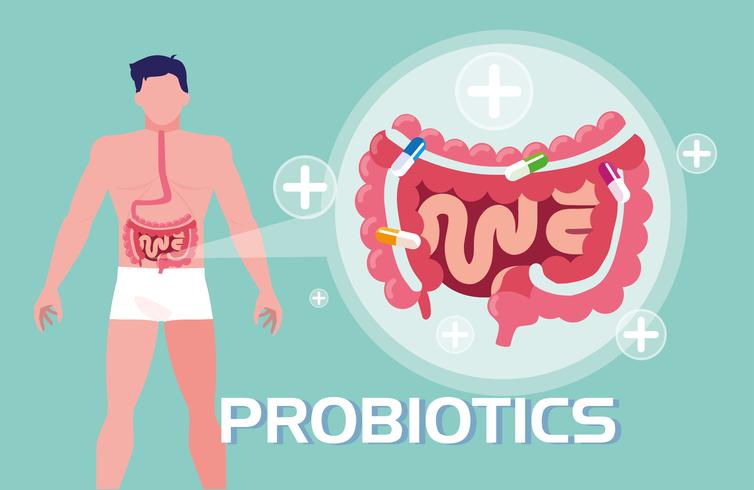 Probiotics benefits