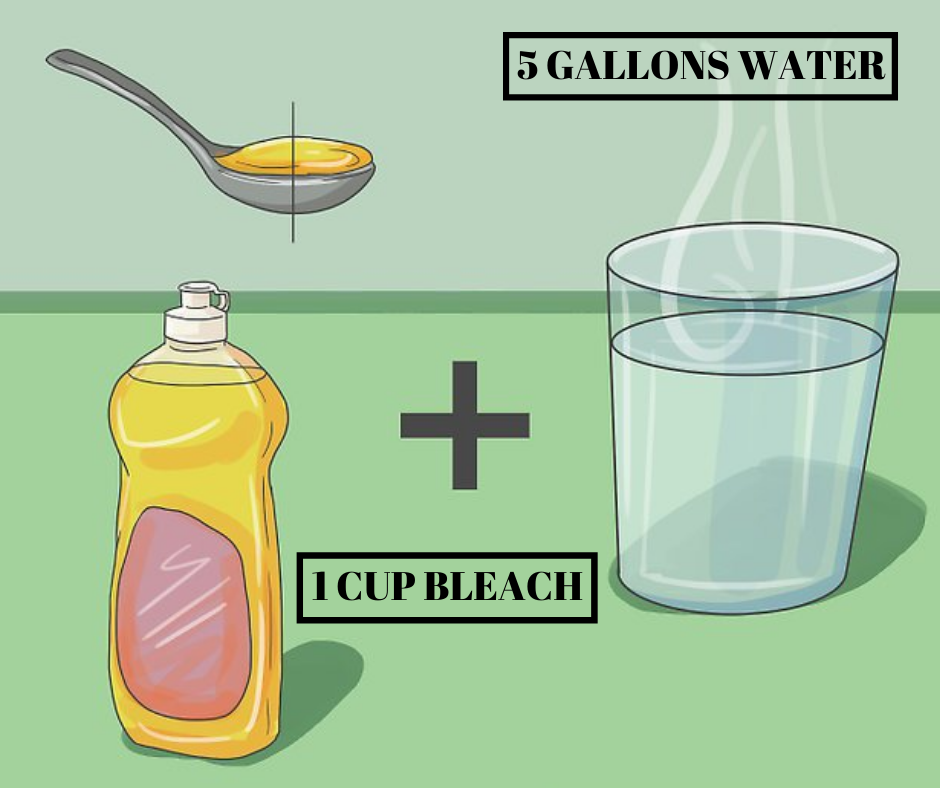 Sanitize home using bleach