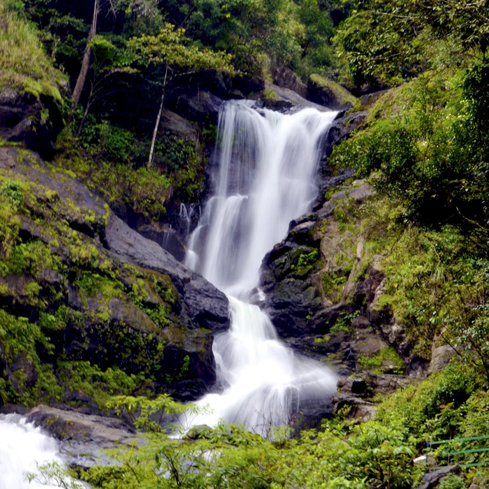 Iruppu falls: coorg
