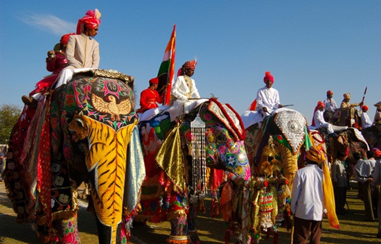 elephant festival