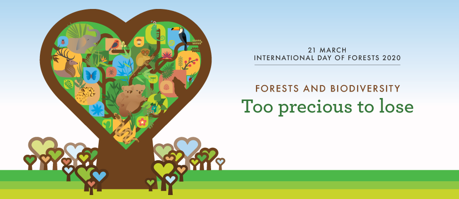 INTERNATIONAL-DAY-OF-FORESTS