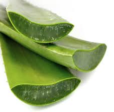aloe vera gel