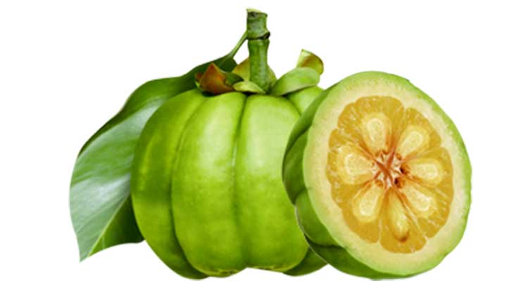 Garcinia Cambojia for weight loss 