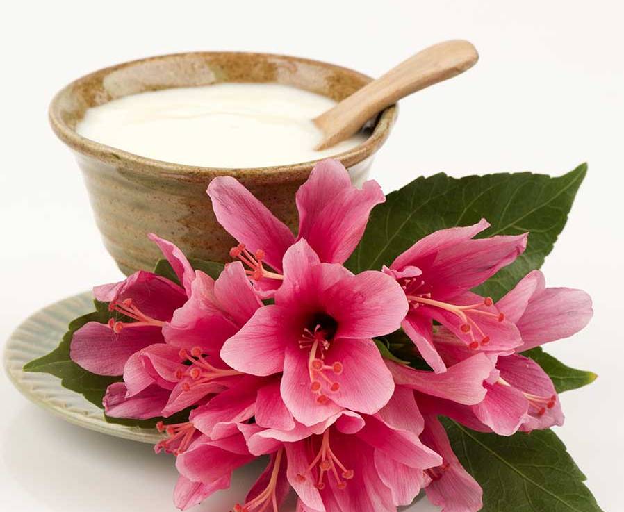 hibiscus benefits
