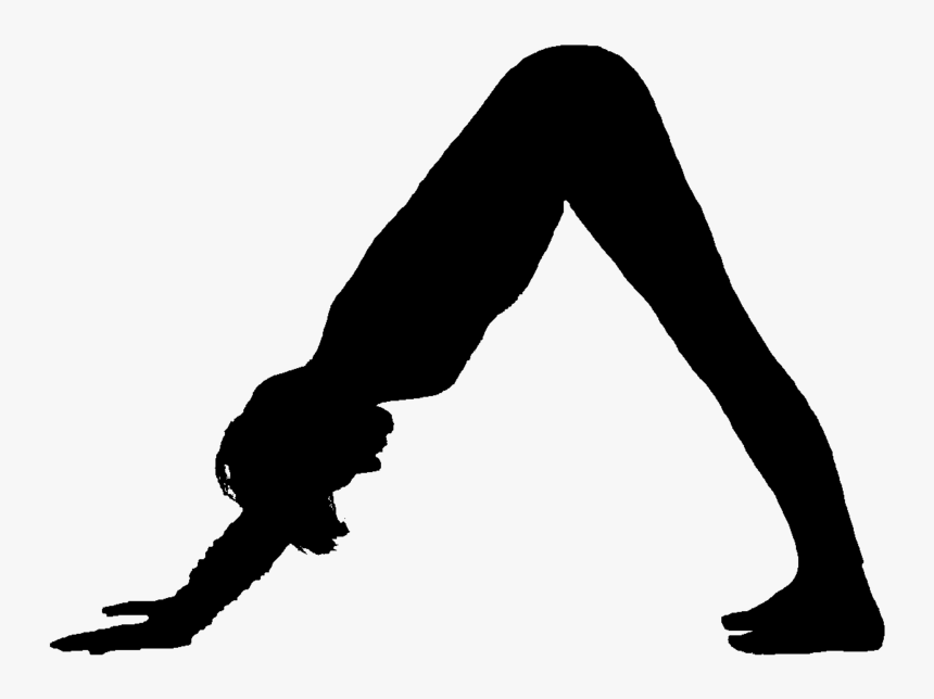 downward dog pose
