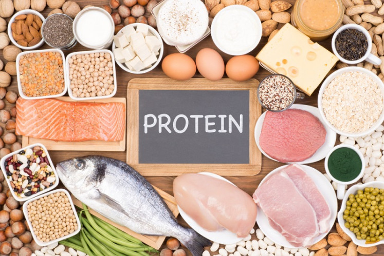 high protein diet 