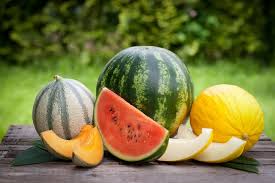 melons