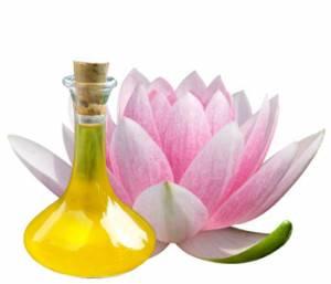 Lotus benefits 