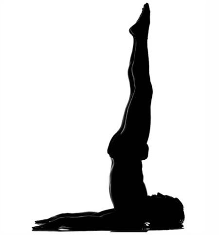 shoulder stand 
