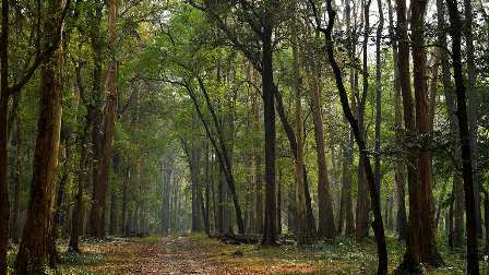 Destinations to see in Kerala