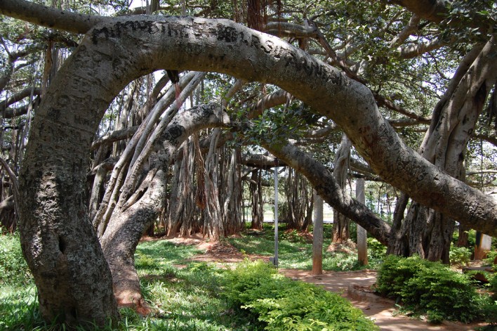 places to visit in Banglore