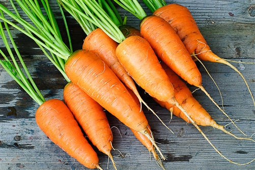 carrots