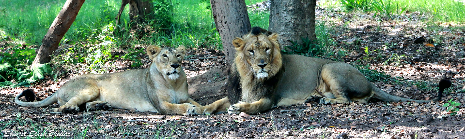 tourist place in Haryana