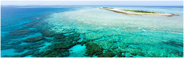 The great barrier reef 