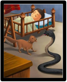 Loyal Mongoose