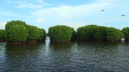 Best Places to visit in Kerala
