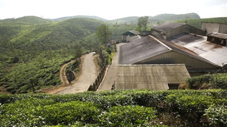 Destinations to see in Kerala
