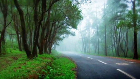 Best Places to visit in Kerala