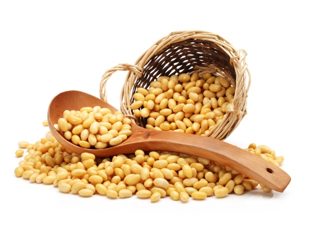 soyabean