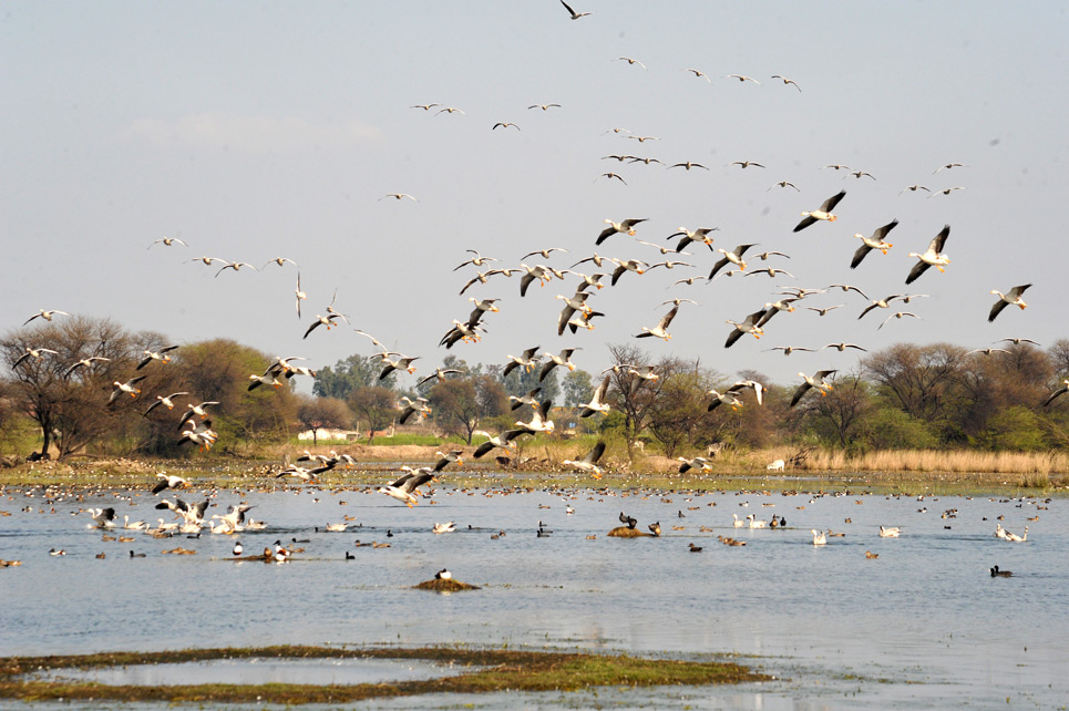 tourist place in Haryana