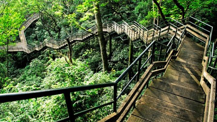 Best Places to visit in Kerala