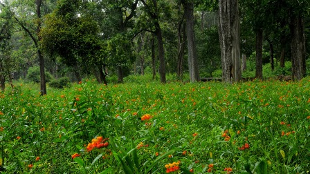 Best Places to visit in Kerala