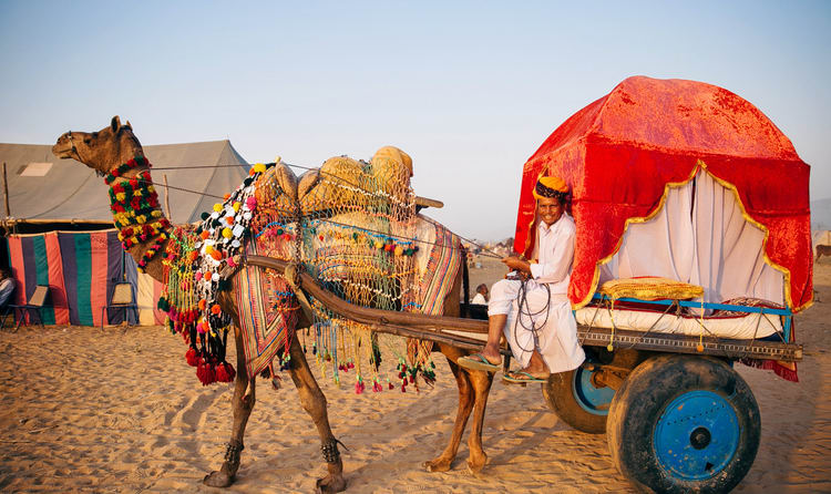 Best Things to Do in Jaipur | Best 30 Things in Jaipur to Explore the City | Jaipur Tourism 