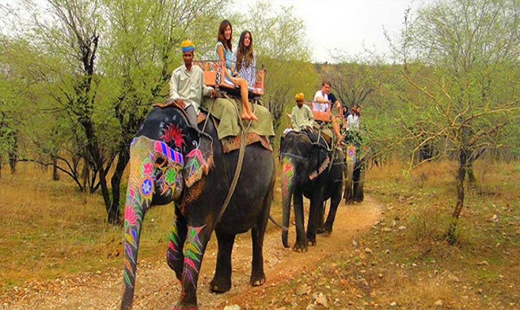 Best Things to Do in Jaipur | Best 30 Things in Jaipur to Explore the City | Jaipur Tourism 
