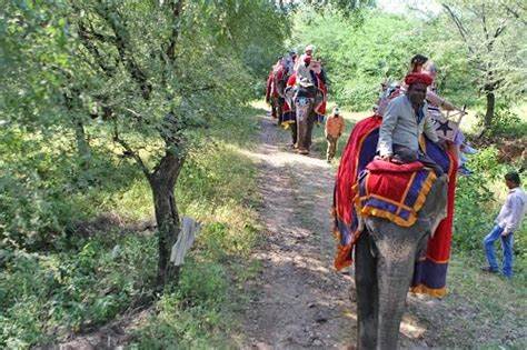 Best Things to Do in Jaipur | Best 30 Things in Jaipur to Explore the City | Jaipur Tourism 