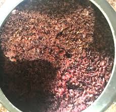 Food of Nagaland