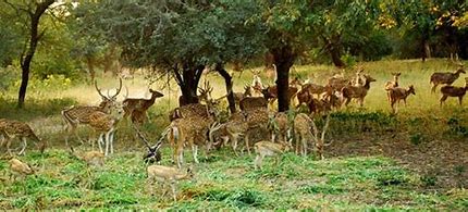 Best Things to do in Hyderabad | 50 Best Things to do in Hyderabad | Places and festivals to see in Hyderabad