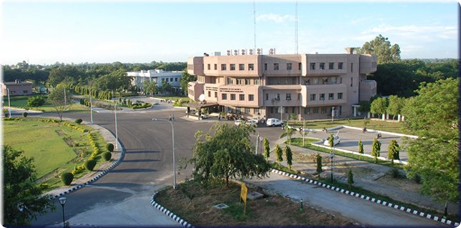 Universities of Punjab