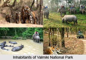 Tourist Places to visit in Patna 
