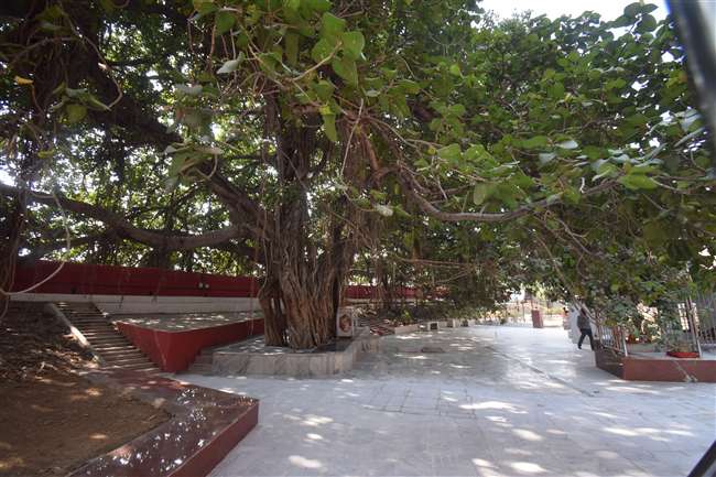 Places to visit in Allahabad