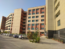 college for BSc Physics In India
