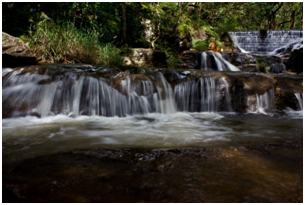 things to do in Madhya Pradesh