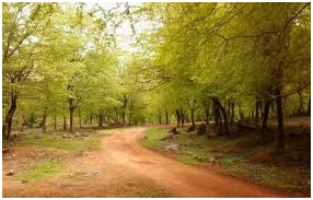 things to do in Madhya Pradesh