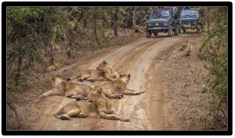 DESTINATIONS TO VISIT IN GUJARAT