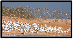 Best DESTINATIONS TO VISIT IN GUJARAT