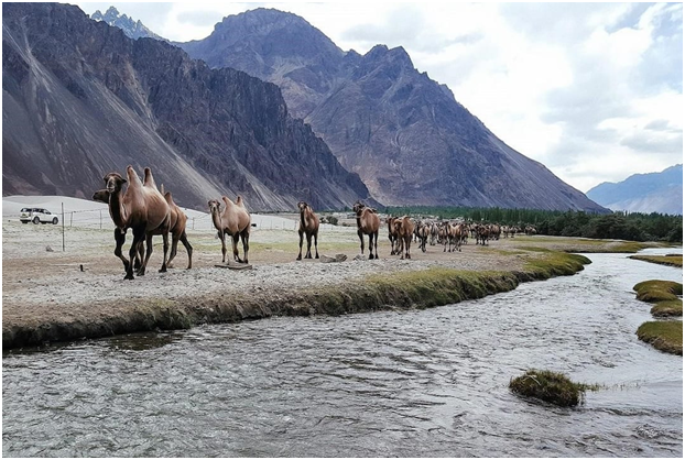 best places to visit in Ladakh