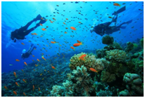 BEST THINGS TO DO IN MAHARASHTRA