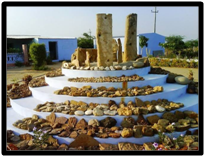 things to do in Gujarat
