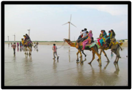 Festivals in Gujarat