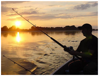 BEST THINGS TO DO IN MAHARASHTRA