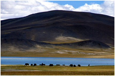 lakes in Ladakh
