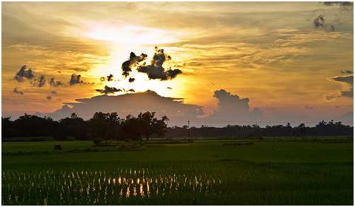 TOURIST PLACES TO VISIT IN WEST BENGAL