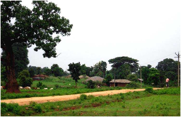 TOURIST PLACES TO VISIT IN WEST BENGAL