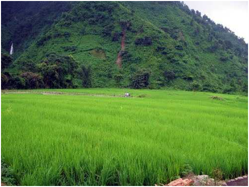 TOURIST PLACES TO VISIT IN WEST BENGAL