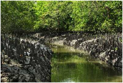 TOURIST PLACES TO VISIT IN WEST BENGAL
